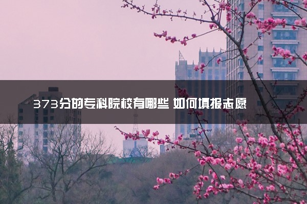 373分的专科院校有哪些 如何填报志愿