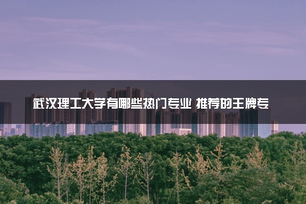 武汉理工大学有哪些热门专业 推荐的王牌专业