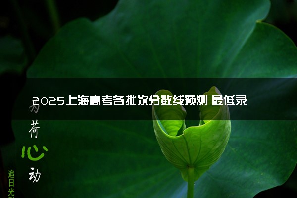 2025上海高考各批次分数线预测 最低录取分预估