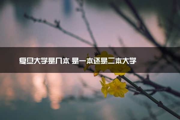 复旦大学是几本 是一本还是二本大学