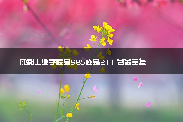 成都工业学院是985还是211 含金量怎么样