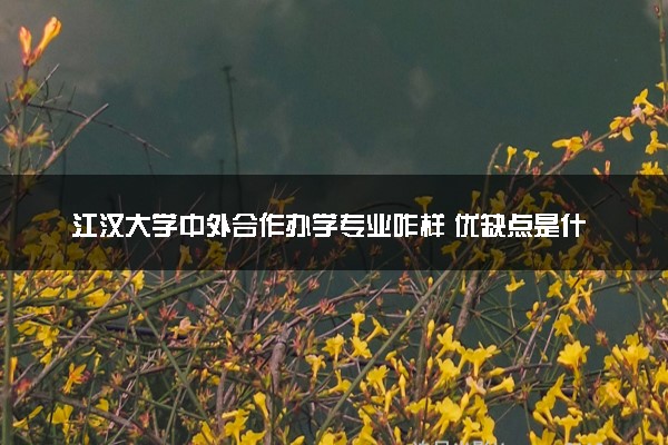 江汉大学中外合作办学专业咋样 优缺点是什么