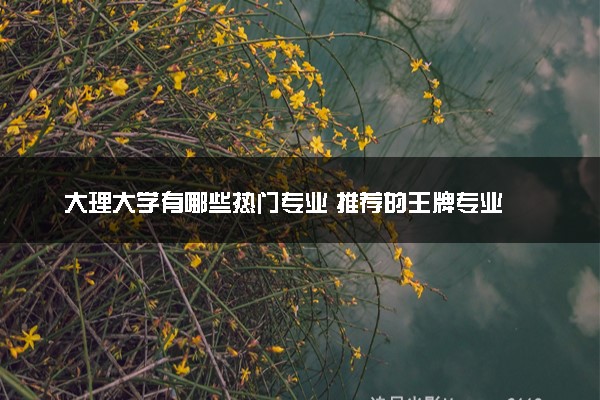 大理大学有哪些热门专业 推荐的王牌专业