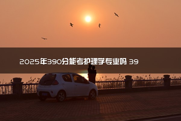 2025年390分能考护理学专业吗 390分护理学专业大学推荐