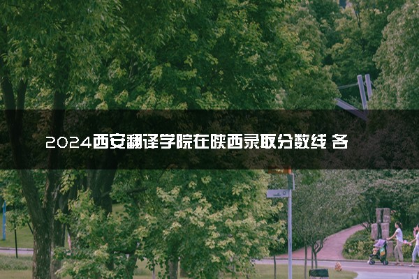 2024西安翻译学院在陕西录取分数线 各专业分数及位次