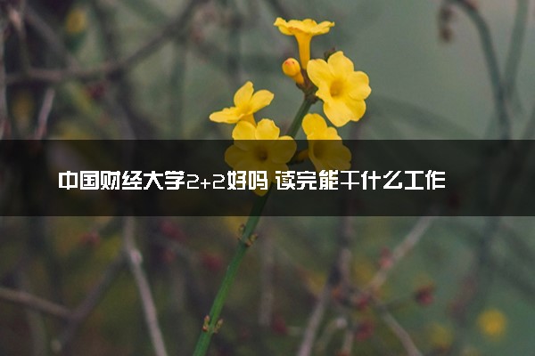 中国财经大学2+2好吗 读完能干什么工作
