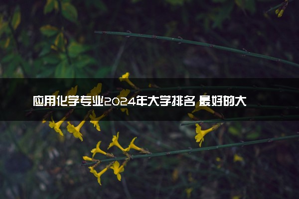 应用化学专业2024年大学排名 最好的大学排行榜