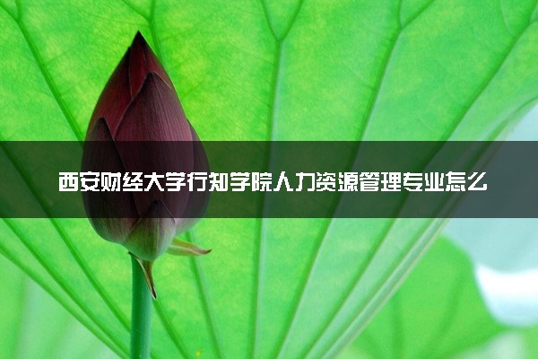 西安财经大学行知学院人力资源管理专业怎么样 录取分数线多少