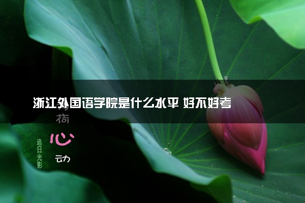 浙江外国语学院是什么水平 好不好考