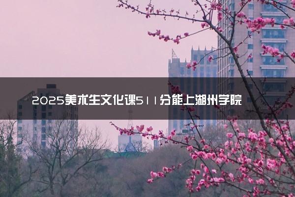 2025美术生文化课511分能上湖州学院吗
