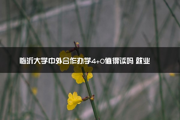 临沂大学中外合作办学4+0值得读吗 就业前景怎么样