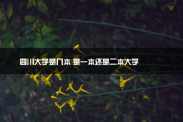 四川大学是几本 是一本还是二本大学