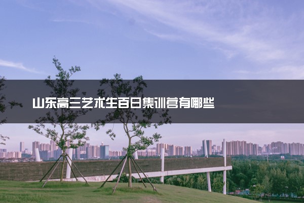 山东高三艺术生百日集训营有哪些