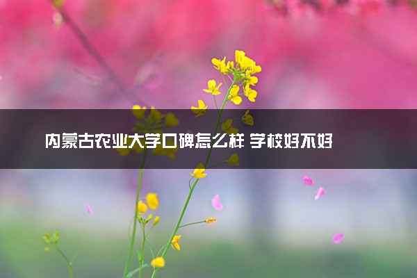 内蒙古农业大学口碑怎么样 学校好不好