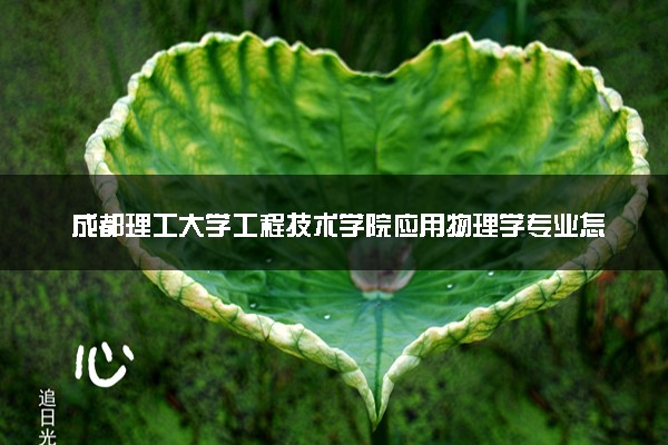 成都理工大学工程技术学院应用物理学专业怎么样 录取分数线多少