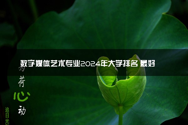 数字媒体艺术专业2024年大学排名 最好的大学排行榜