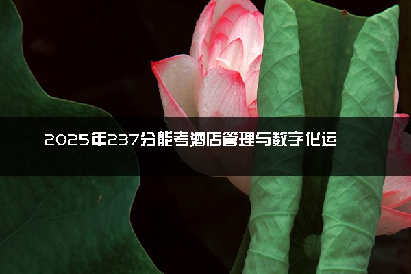 2025年237分能考酒店管理与数字化运营专业吗 237分酒店管理与数字化运营专业大学推荐