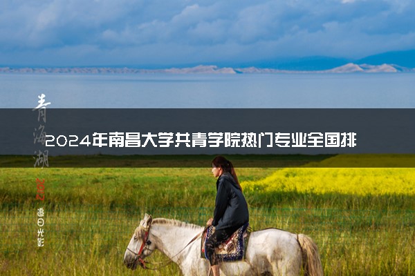 2024年南昌大学共青学院热门专业全国排名 有