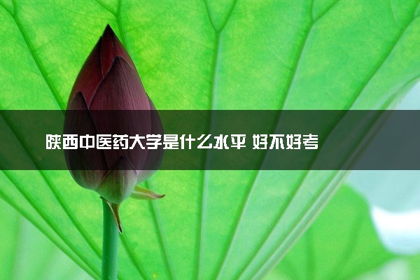 陕西中医药大学是什么水平 好不好考