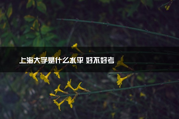 上海大学是什么水平 好不好考