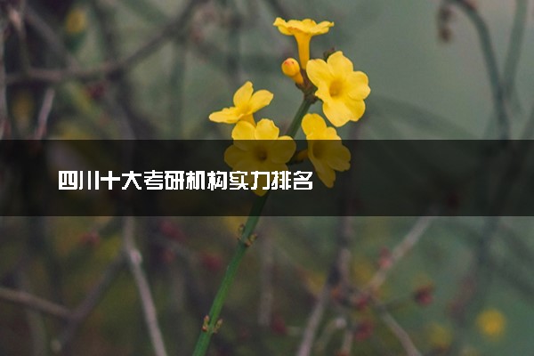四川十大考研机构实力排名