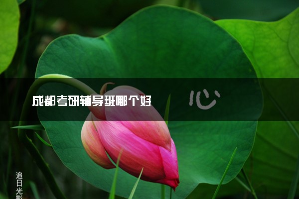 成都考研辅导班哪个好