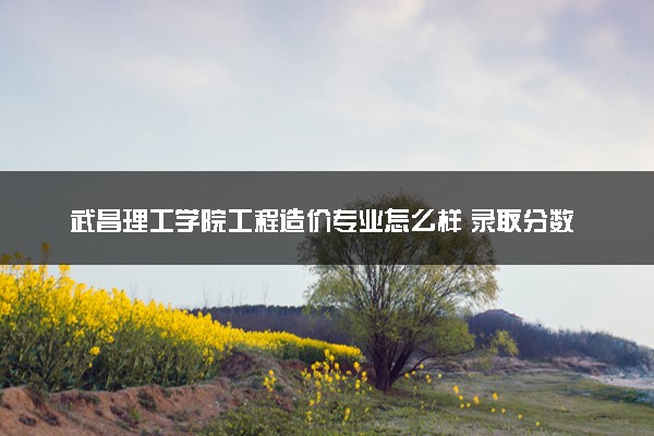 武昌理工学院工程造价专业怎么样 录取分数线多少