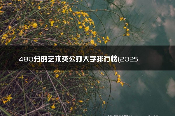 480分的艺术类公办大学排行榜（2025考生参考)