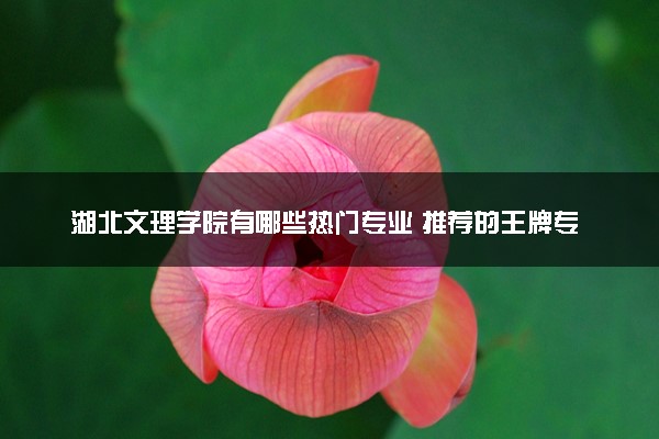 湖北文理学院有哪些热门专业 推荐的王牌专业