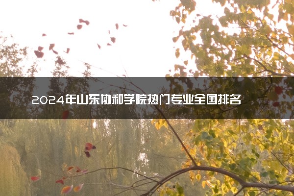 2024年山东协和学院热门专业全国排名 有