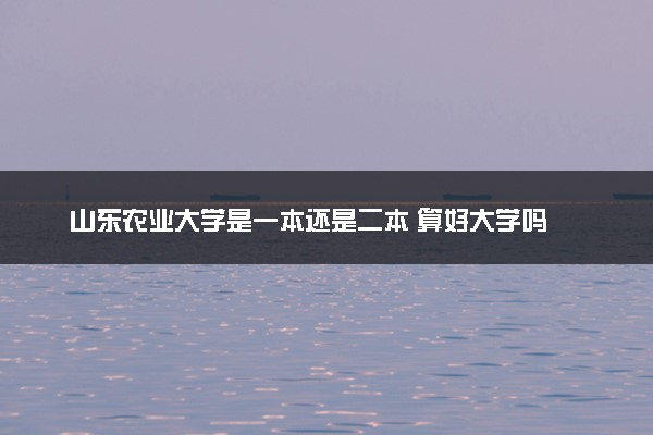 山东农业大学是一本还是二本 算好大学吗