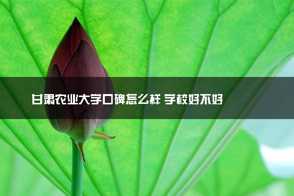 甘肃农业大学口碑怎么样 学校好不好
