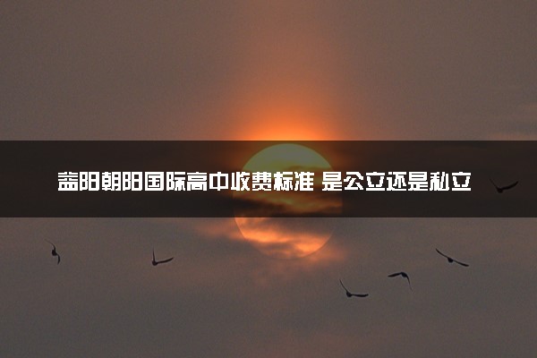 益阳朝阳国际高中收费标准 是公立还是私立