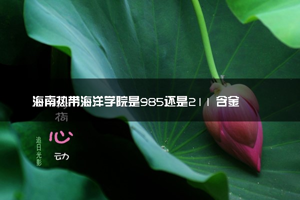 海南热带海洋学院是985还是211 含金量怎么样