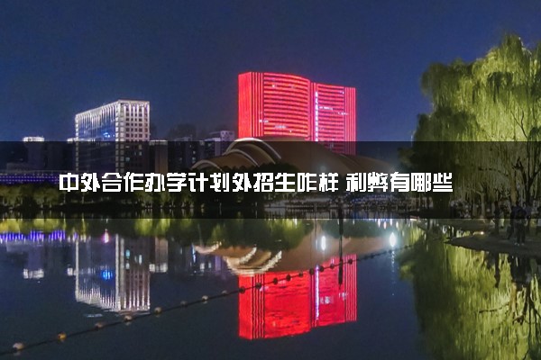 中外合作办学计划外招生咋样 利弊有哪些