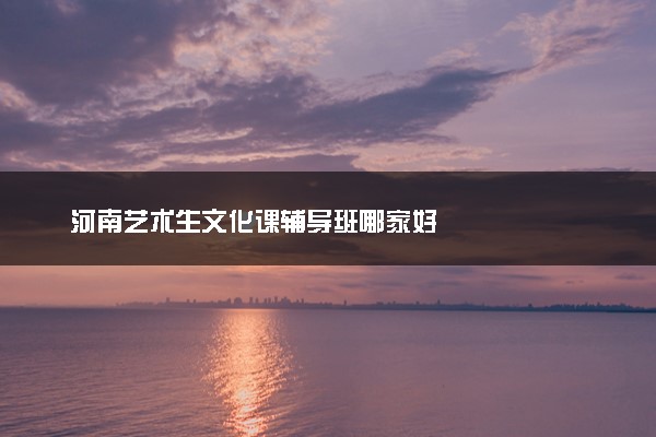 河南艺术生文化课辅导班哪家好