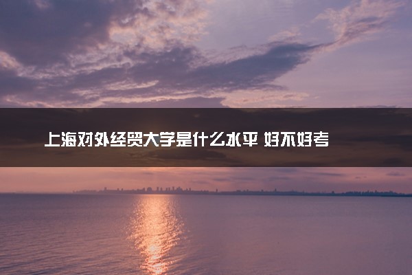 上海对外经贸大学是什么水平 好不好考