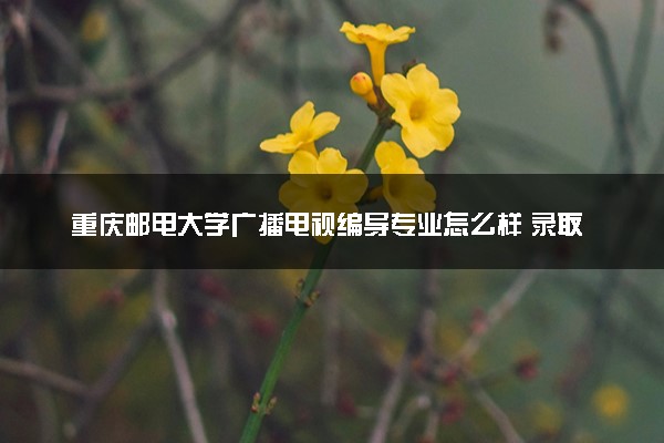重庆邮电大学广播电视编导专业怎么样 录取分数线多少