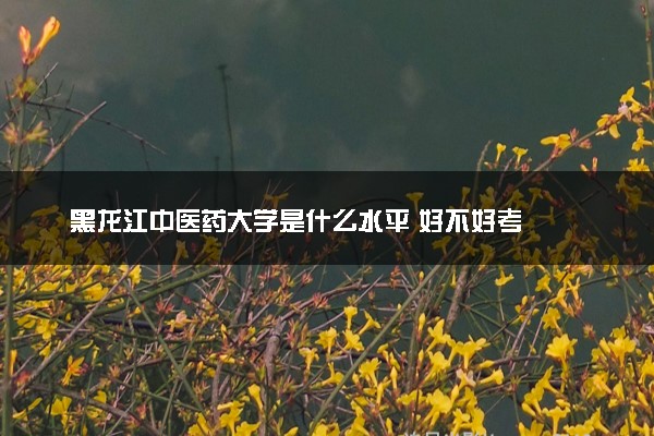 黑龙江中医药大学是什么水平 好不好考