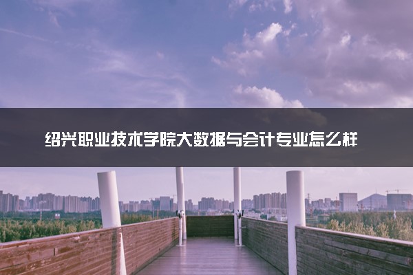 绍兴职业技术学院大数据与会计专业怎么样 录取分数线多少