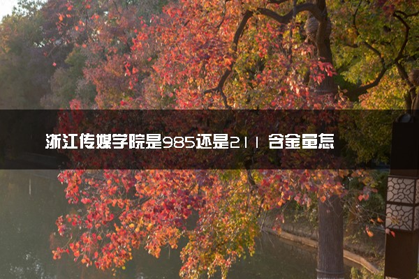 浙江传媒学院是985还是211 含金量怎么样