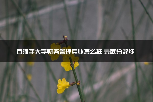 石河子大学财务管理专业怎么样 录取分数线多少