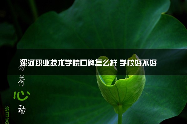漯河职业技术学院口碑怎么样 学校好不好