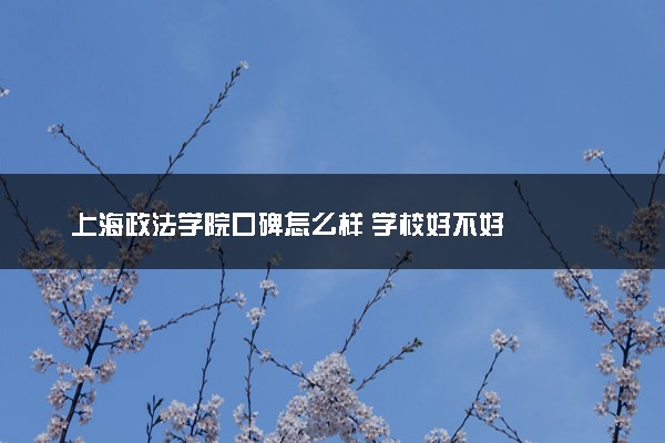 上海政法学院口碑怎么样 学校好不好