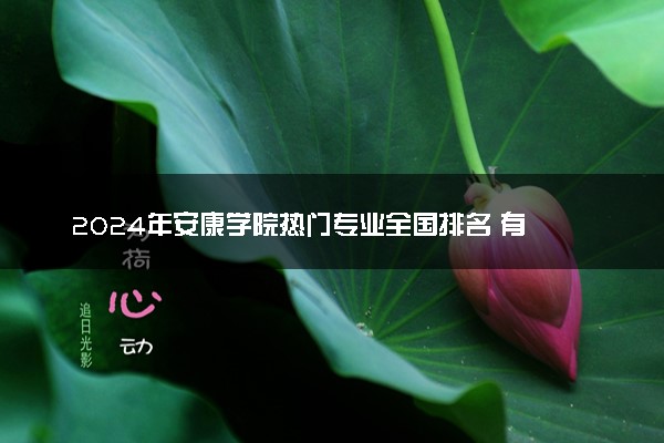 2024年安康学院热门专业全国排名 有