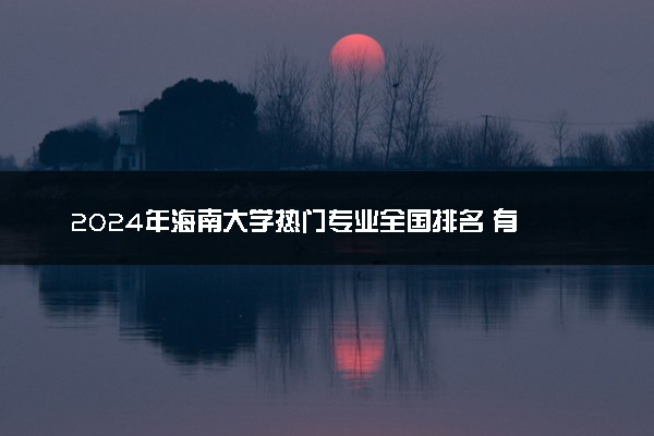 2024年海南大学热门专业全国排名 有