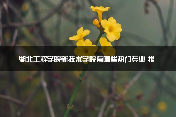 湖北工程学院新技术学院有哪些热门专业 推荐的王牌专业