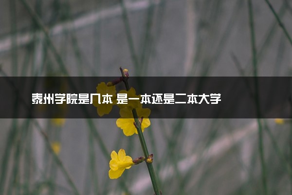 泰州学院是几本 是一本还是二本大学