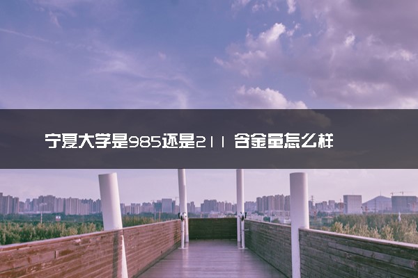 宁夏大学是985还是211 含金量怎么样