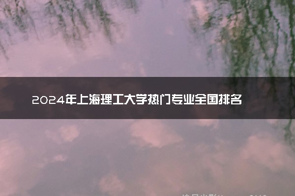2024年上海理工大学热门专业全国排名 有
